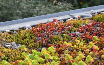 the cost of Cuckney green roof installation