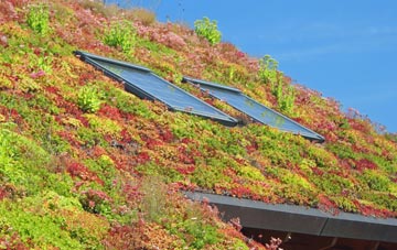 Cuckney living roof systems
