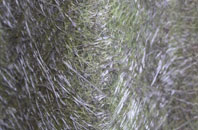 Cuckney fibreglass roof work